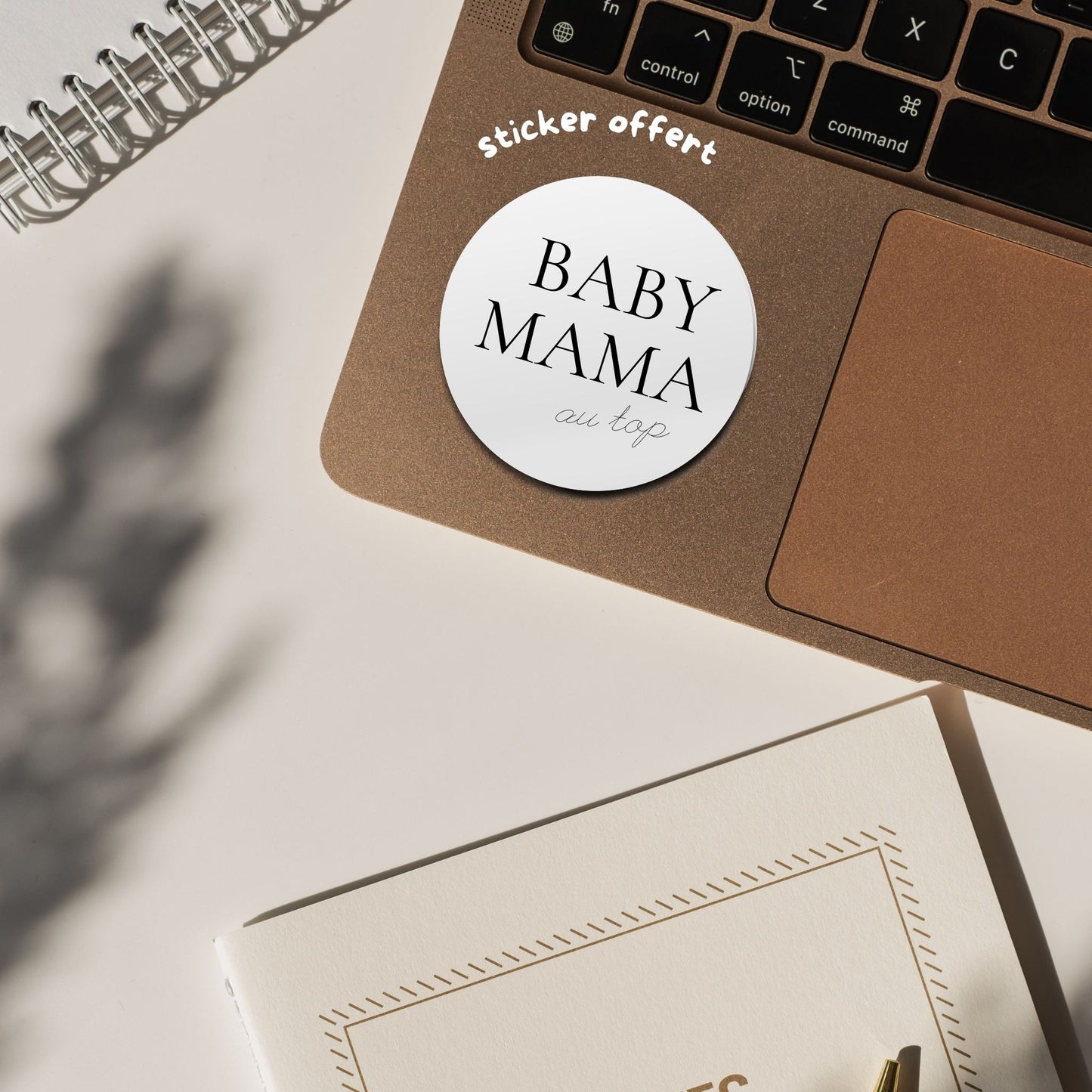Cartes étapes grossesse et journaling